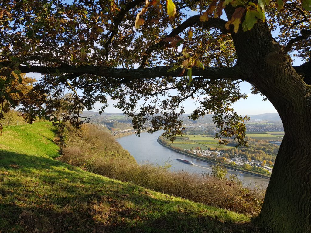 Natur - und Landschaftsführung